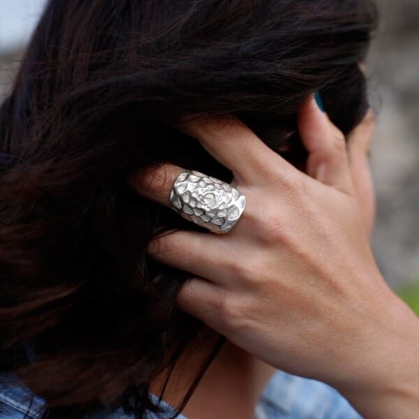 Anillo de plata Pinum