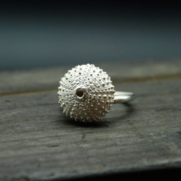 Anillo de plata Erizo