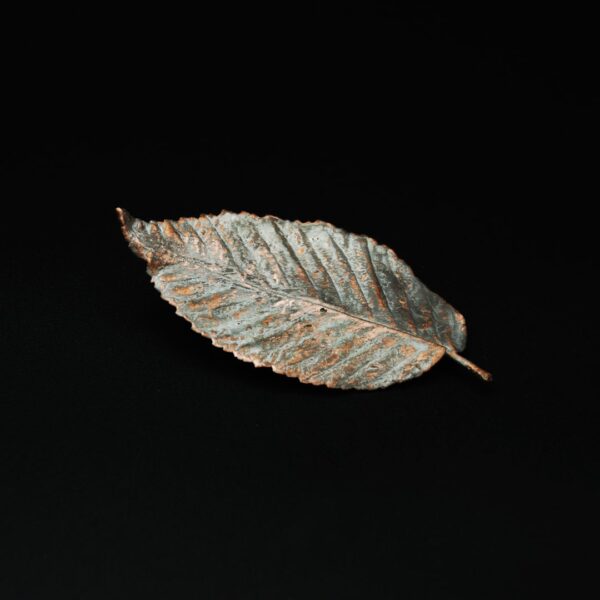 Broche de cobre Ulmus