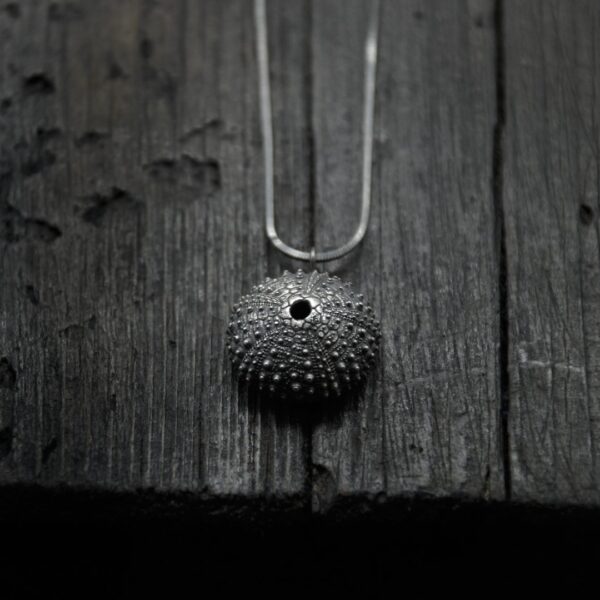 Collar de plata Echinoidea