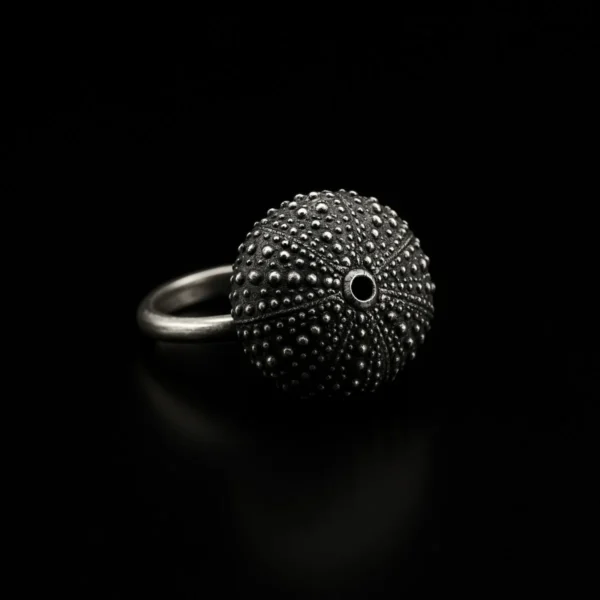 Anillo de plata Echinoidea